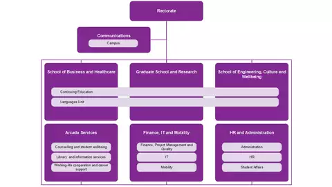 A chart describing Arcada's organisation - units and academies.