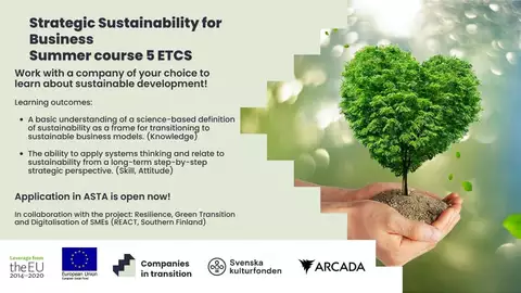 Strategic Sustainability for Business flyer