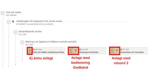 Prestationer och vitsord