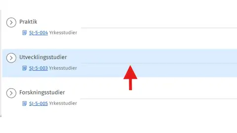 Välj utvecklingsstudier i din plan steg 2