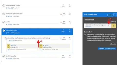 Välj utvecklingsstudier i din plan steg 3 och 4